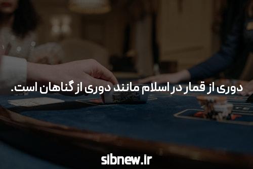 بدون فیلتر شکن ورود به سایت شرط بندی: دنیای جدید سرگرمی و سودآوری