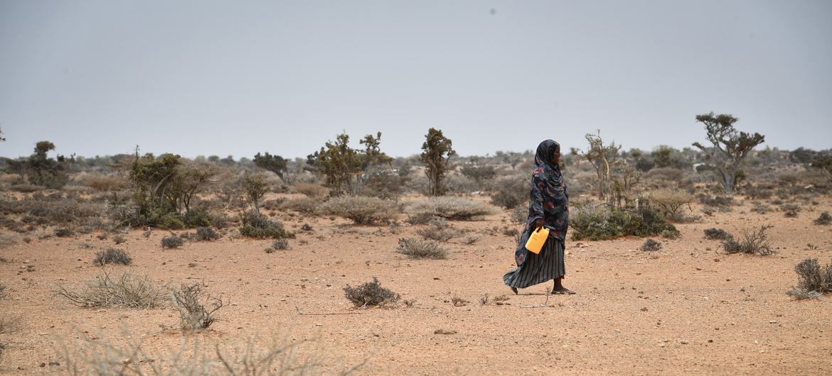سومالی با خطر قحطی بی سابقه ای مواجه است